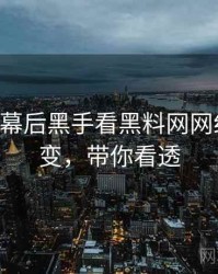 0830. 从幕后黑手看黑料网网红事件演变，带你看透