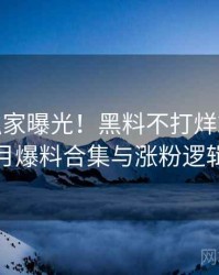 0896. 独家曝光！黑料不打烊2020年2月爆料合集与涨粉逻辑