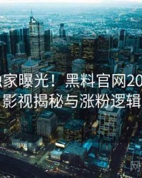 0954. 独家曝光！黑料官网2017年8月影视揭秘与涨粉逻辑