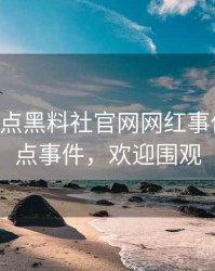 0733. 盘点黑料社官网网红事件十大焦点事件，欢迎围观