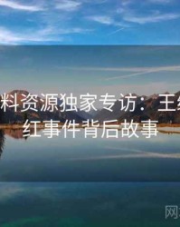 0652. 黑料资源独家专访：王编辑谈网红事件背后故事