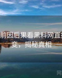 0292. 从前因后果看黑料网直播事故演变，揭秘真相