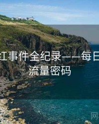 重磅网红事件全纪录——每日大赛91流量密码