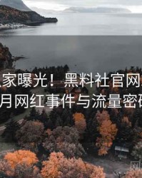 0929. 独家曝光！黑料社官网2021年10月网红事件与流量密码