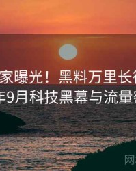 0966. 独家曝光！黑料万里长征首页2019年9月科技黑幕与流量密码