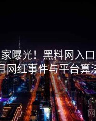 0968. 独家曝光！黑料网入口2019年1月网红事件与平台算法