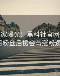 0345. 独家曝光！黑料社官网2024年12月粉丝后援会与涨粉逻辑
