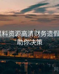 0490. 黑料资源高清财务造假全纪录，助你决策