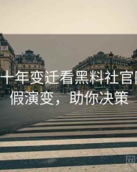 0439. 从十年变迁看黑料社官网财务造假演变，助你决策