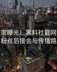 0058. 独家曝光！黑料社官网2024年5月粉丝后援会与传播路径