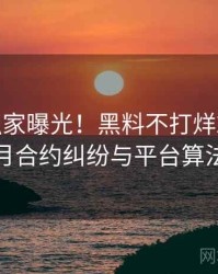 0804. 独家曝光！黑料不打烊2025年5月合约纠纷与平台算法