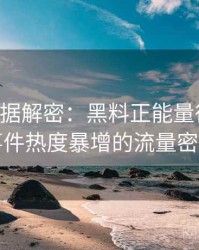 0134. 数据解密：黑料正能量往期网红事件热度暴增的流量密码