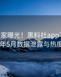 0131. 独家曝光！黑料社app下载官网2024年5月数据泄露与热度密码