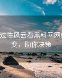 0801. 从过往风云看黑料网网红事件演变，助你决策