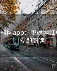 0998. 黑料网app：重磅网红事件盘点，立即阅读
