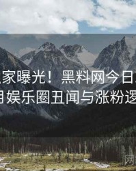 0956. 独家曝光！黑料网今日2024年10月娱乐圈丑闻与涨粉逻辑