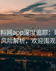 0295. 黑料网app深度追踪：财务造假风险解析，欢迎围观