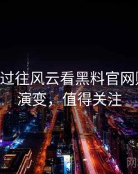 0203. 从过往风云看黑料官网财务造假演变，值得关注