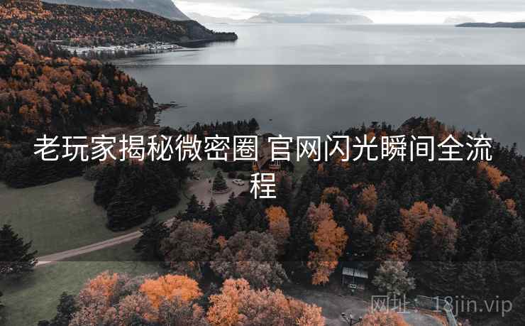老玩家揭秘微密圈 官网闪光瞬间全流程