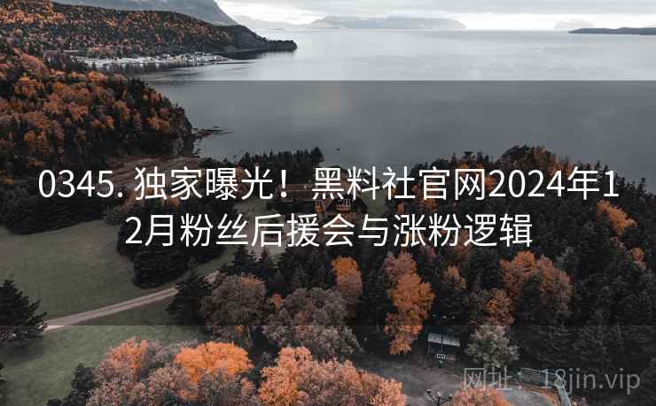 0345. 独家曝光！黑料社官网2024年12月粉丝后援会与涨粉逻辑